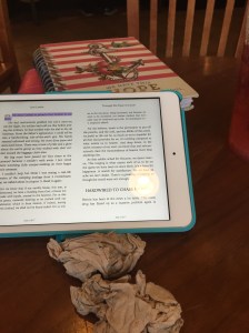 Sometimes your moment comes when you least expect it. #EyesofaLion