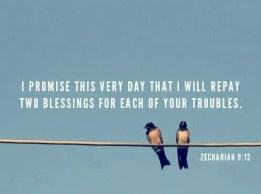 9b830054c4797849ee3e776c51079727