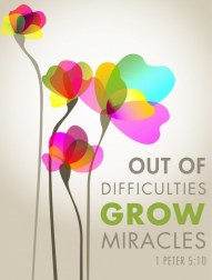 out-of-difficulties-grows-miracles1